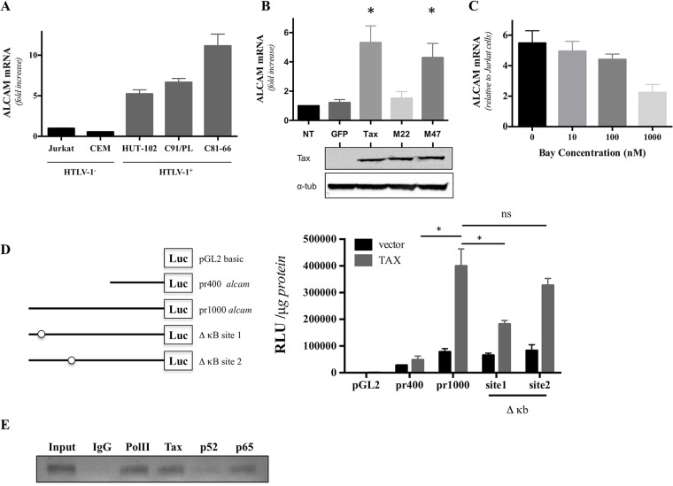 FIG 3