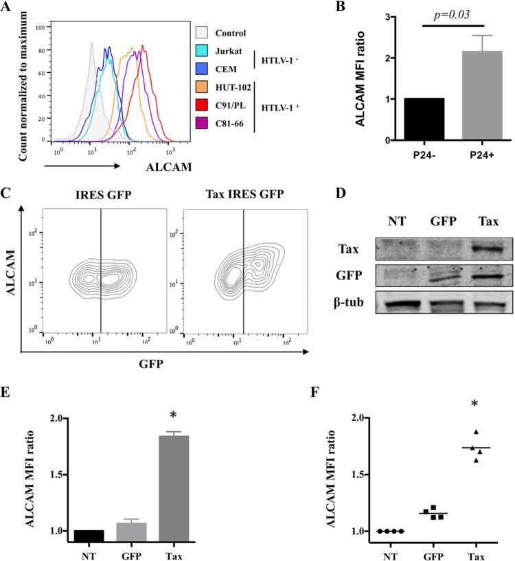 FIG 2