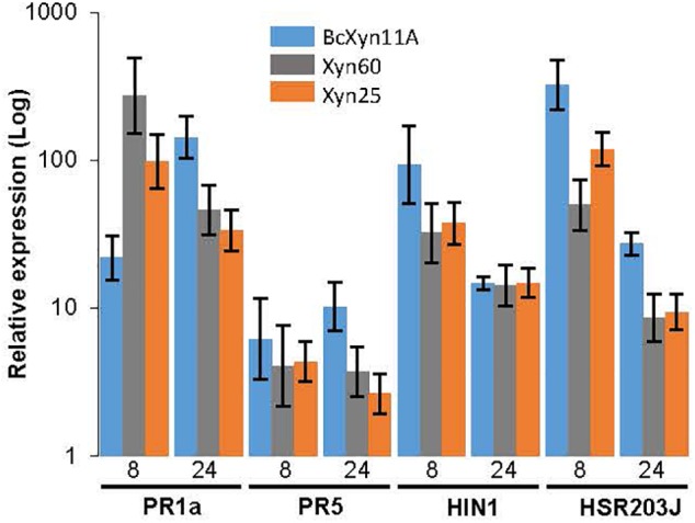 FIGURE 4