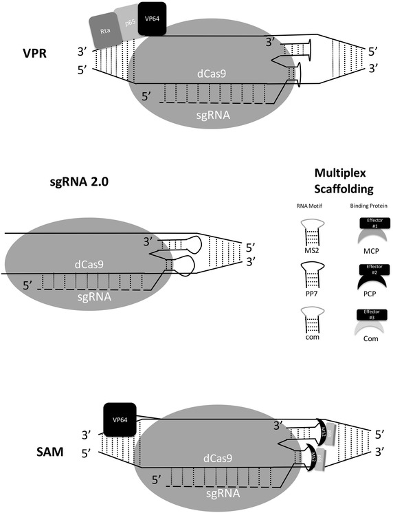 Fig. 2