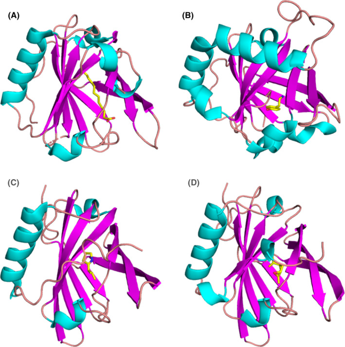 FIGURE 3