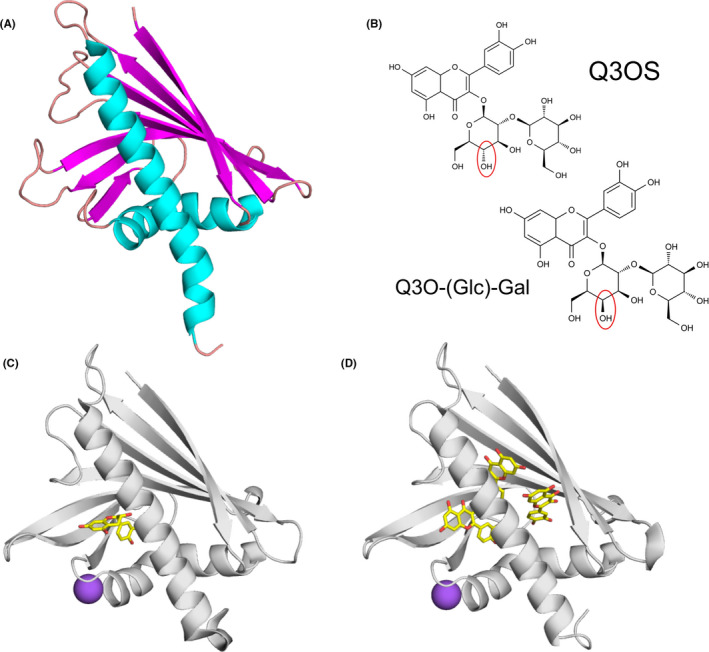 FIGURE 2