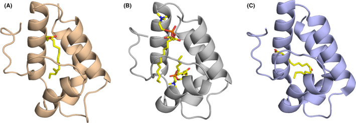 FIGURE 4