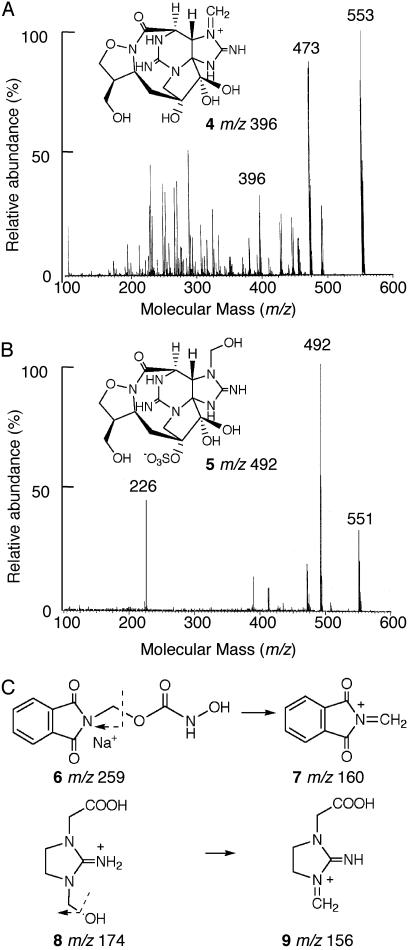 Fig. 3.