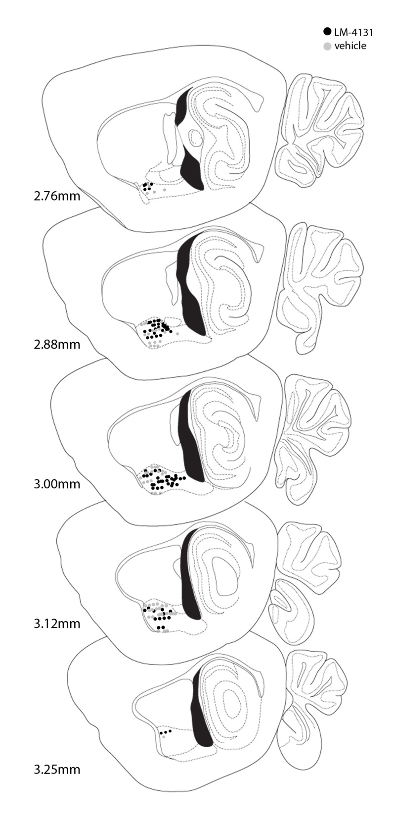 Figure 9—figure supplement 1.