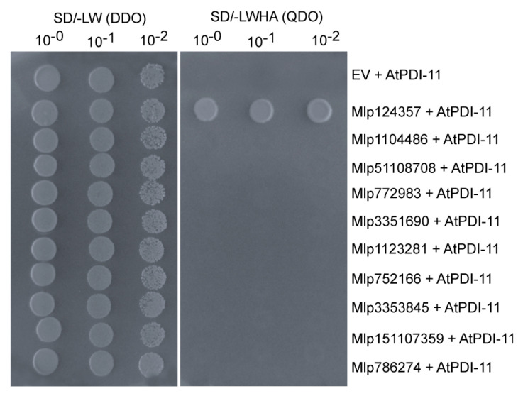 Figure 6