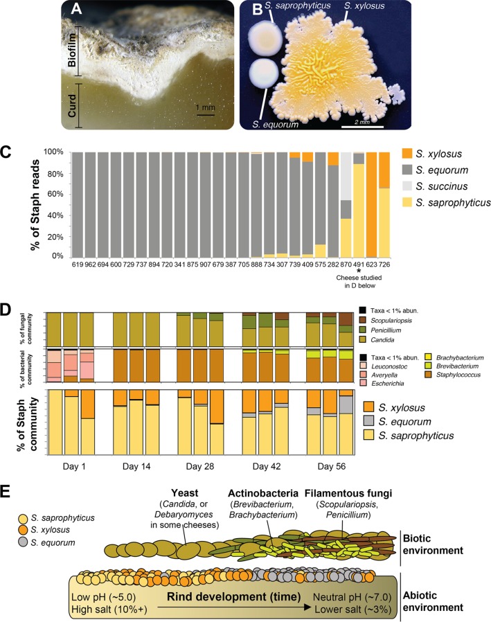 FIG 1 