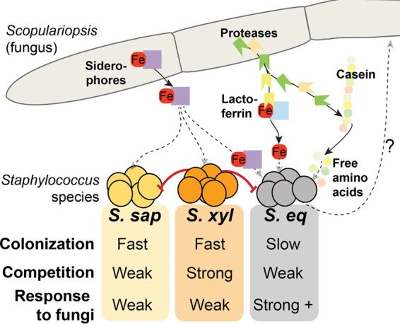 FIG 4 