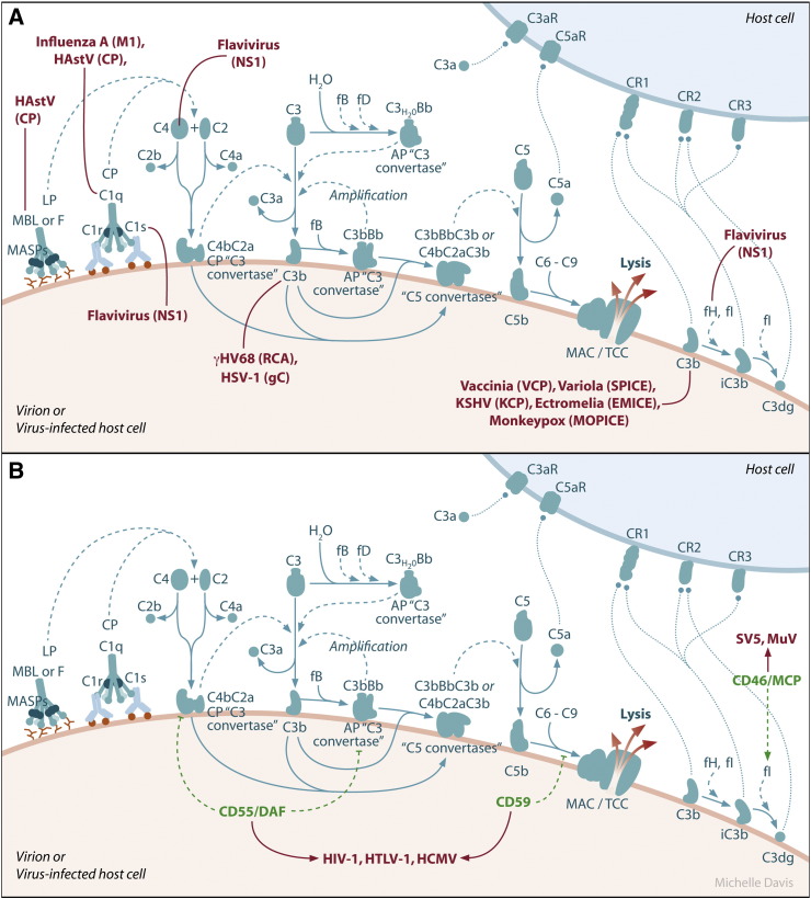 Fig. 2