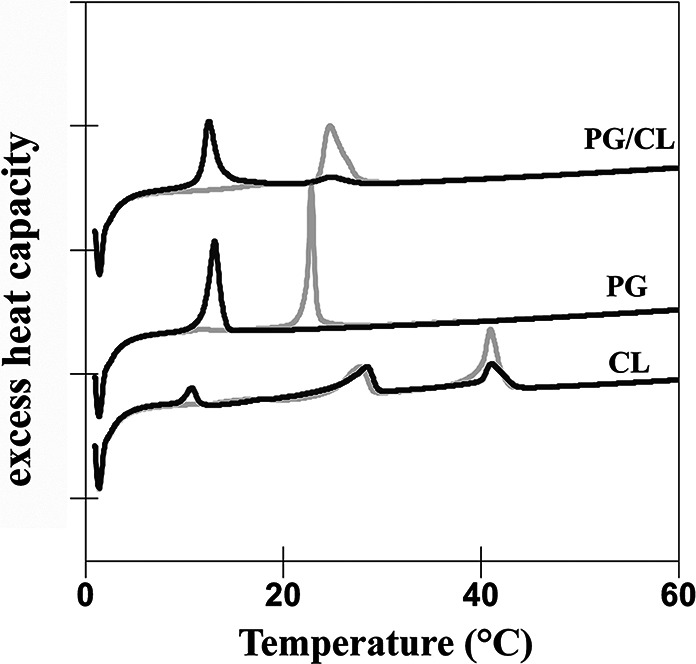 FIG 9