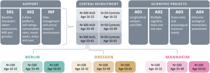 FIGURE 3