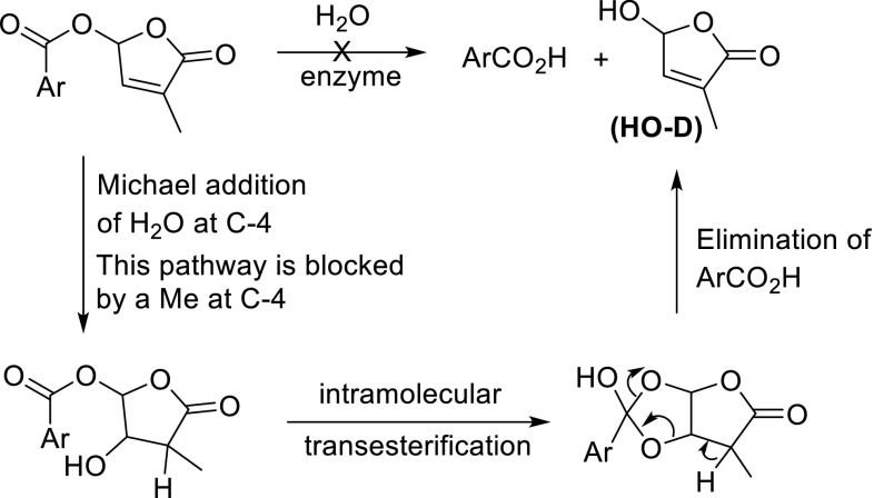 Fig. 16