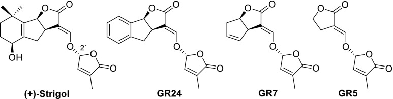 Fig. 2