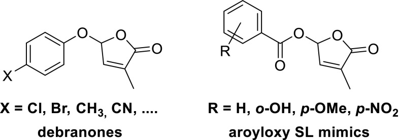 Fig. 6