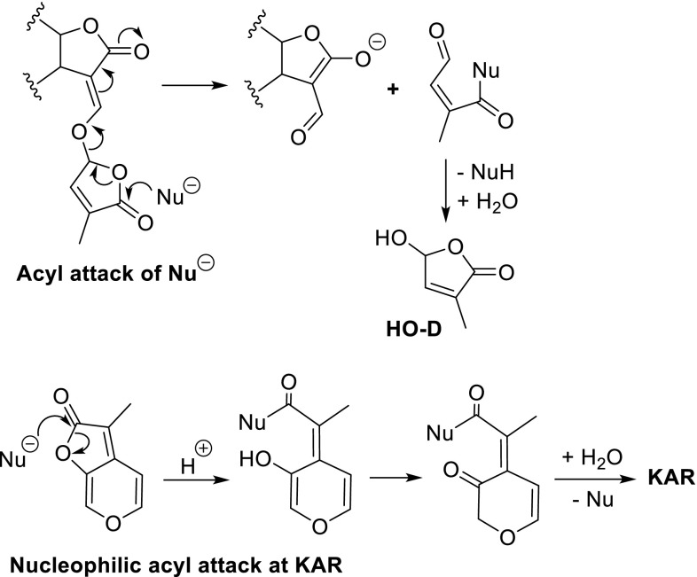 Fig. 12