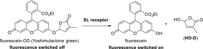 Fig. 17