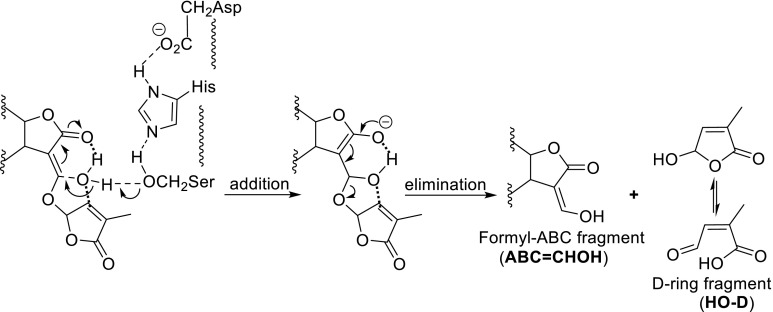 Fig. 13