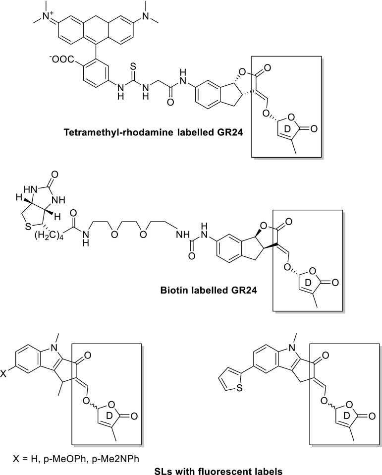 Fig. 15