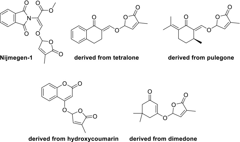 Fig. 4