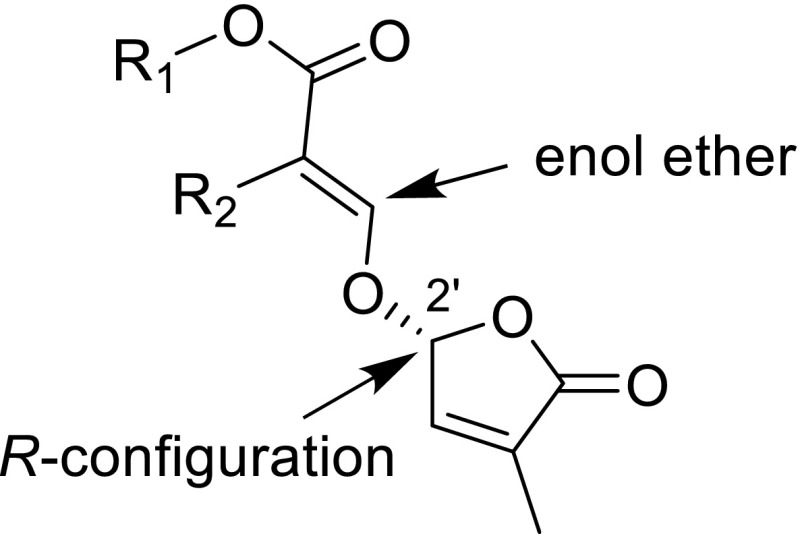 Fig. 8