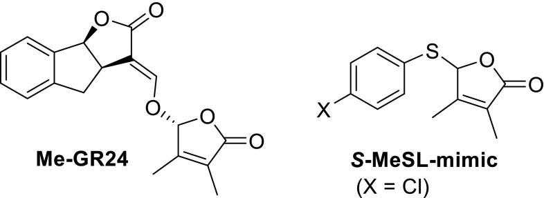 Fig. 9