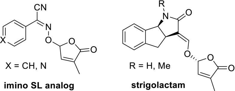 Fig. 5