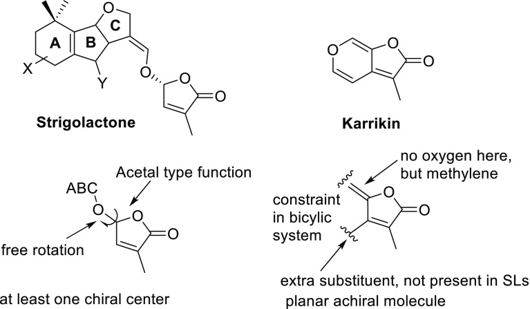 Fig. 10