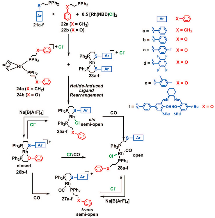 SCHEME 6.