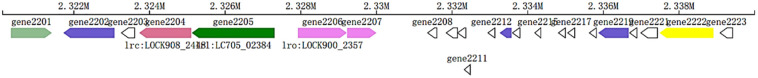 Fig 6