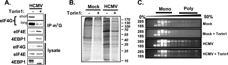 FIG 5