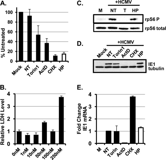 FIG 1