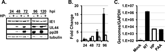 FIG 2