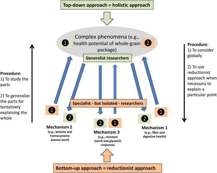 FIGURE 2