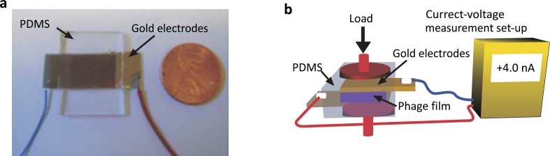 Fig. (6)