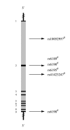 Fig. (8)