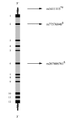Fig. (14)