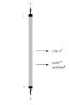 Fig. (2)