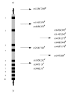 Fig. (21)