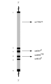 Fig. (4)
