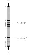 Fig. (17)