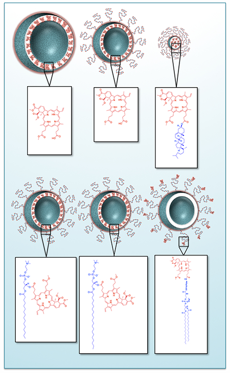 graphic file with name nihms-985983-f0001.jpg