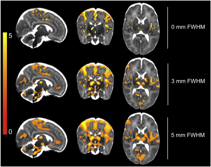 Fig. 10