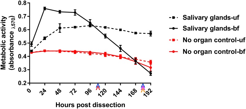 FIG 1