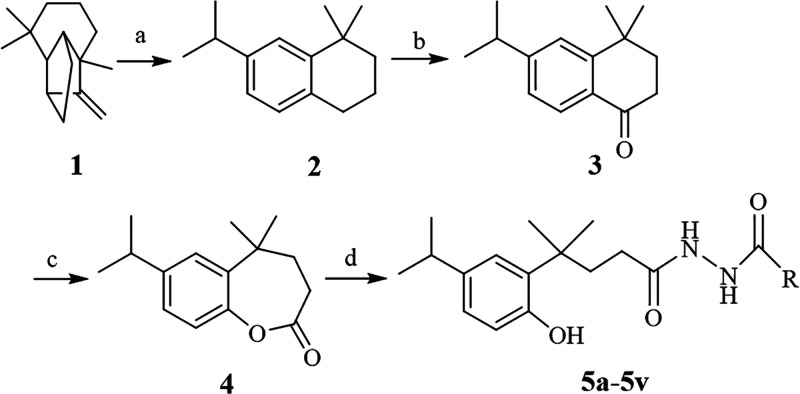 Scheme 1