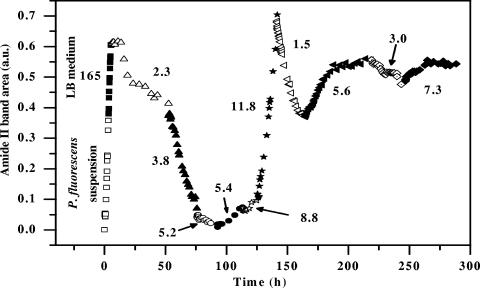 FIG. 5.