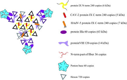 FIG. 6.