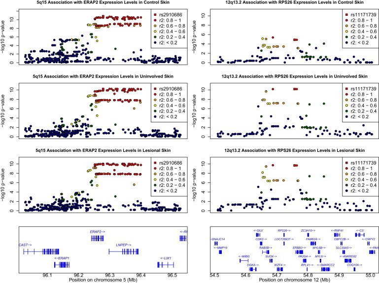 Figure 2