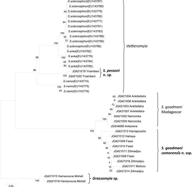 Fig. 7.