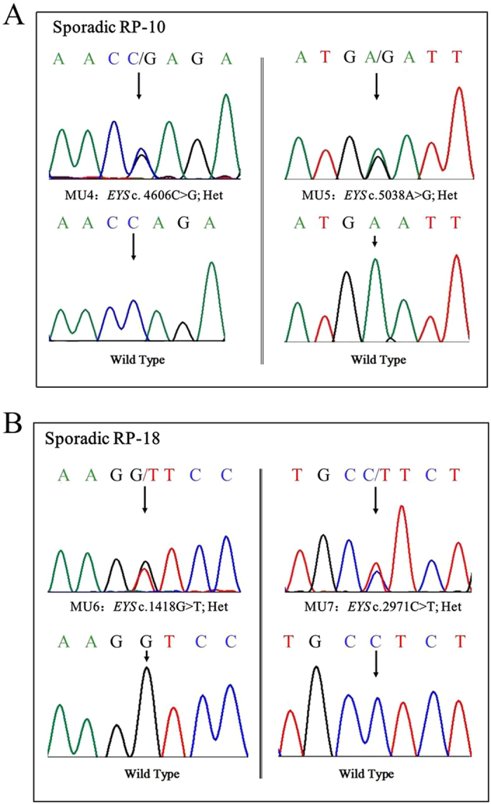 Figure 6