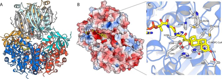 Figure 3.